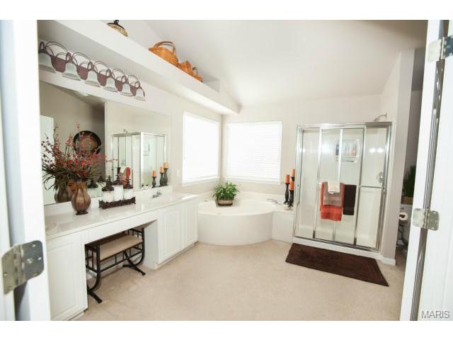 1227 Raintree Pass, O'fallon, MO 63366 photo 17