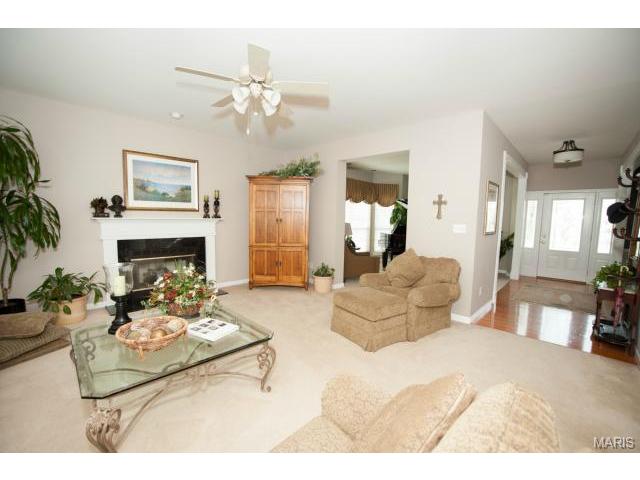 1227 Raintree Pass, O'fallon, MO 63366 photo 9