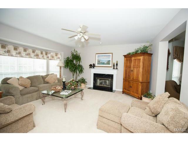 1227 Raintree Pass, O'fallon, MO 63366 photo 8