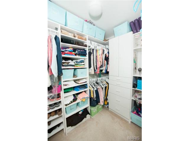 1227 Raintree Pass, O'fallon, MO 63366 photo 26