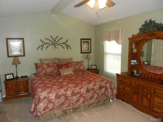 127 Bromley Ct, O'fallon, MO 63368 photo 22