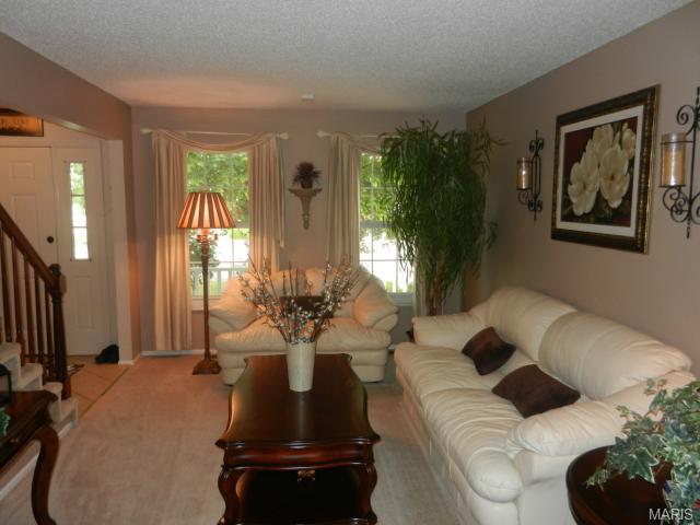 127 Bromley Ct, O'fallon, MO 63368 photo 5