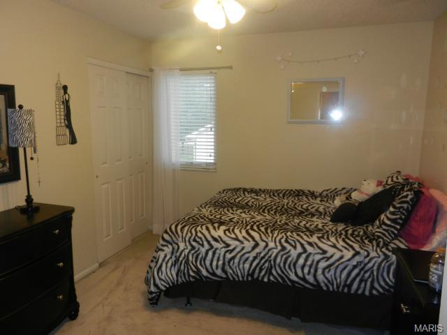 127 Bromley Ct, O'fallon, MO 63368 photo 26