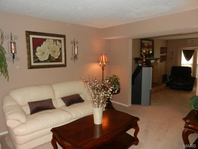 127 Bromley Ct, O'fallon, MO 63368 photo 4