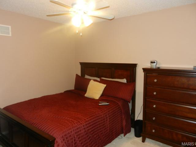 127 Bromley Ct, O'fallon, MO 63368 photo 24