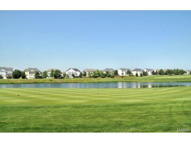 734 Hawk Run Dr, O'fallon, MO 63368 photo 29