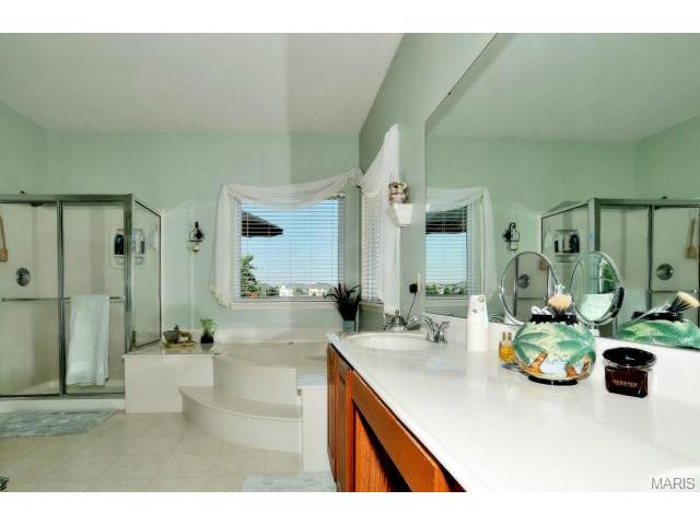 734 Hawk Run Dr, O'fallon, MO 63368 photo 14