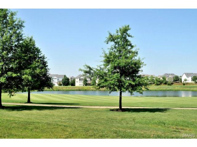 734 Hawk Run Dr, O'fallon, MO 63368 photo 28