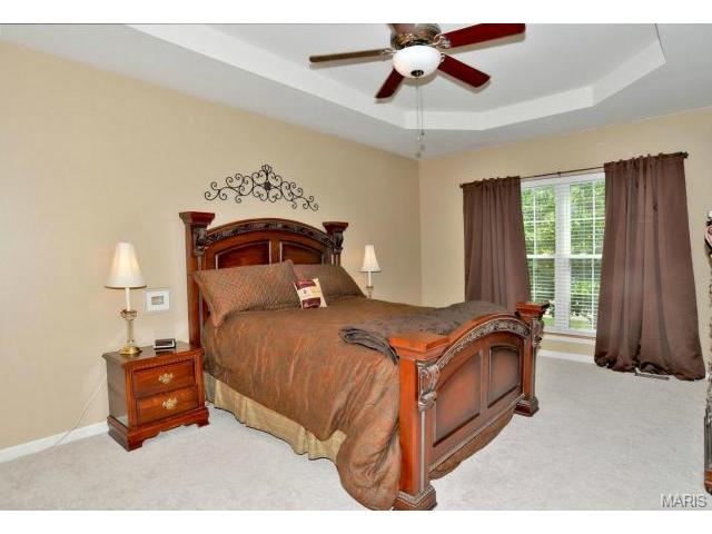 734 Hawk Run Dr, O'fallon, MO 63368 photo 13