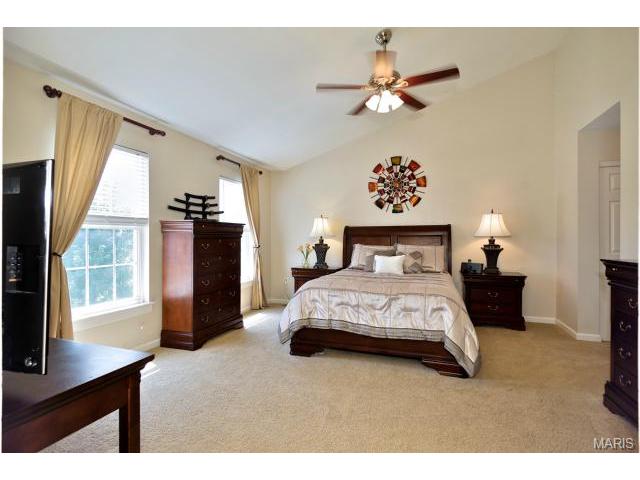 6943 Clayborne, O'fallon, MO 63368 photo 14