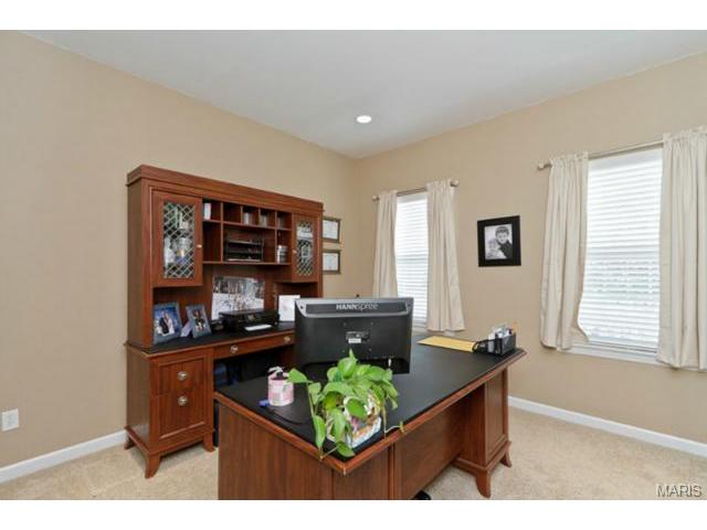 122 Preston Cir, O'fallon, MO 63368 photo 20