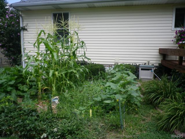 1330 Great Warrior Dr, O'fallon, MO 63366 photo 26