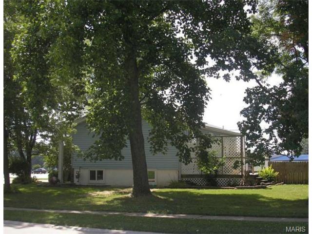 505 Sunflower Ln, O'fallon, MO 63366 photo 4