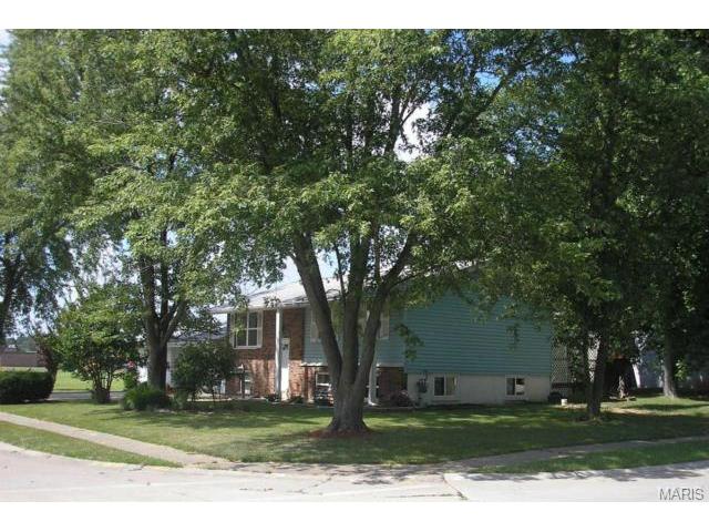 505 Sunflower Ln, O'fallon, MO 63366 photo 3