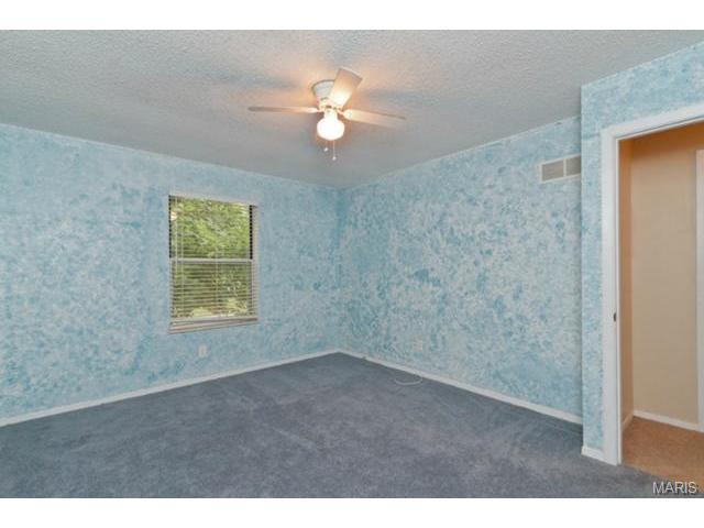 901 Clover Ln, O'fallon, MO 63366 photo 23