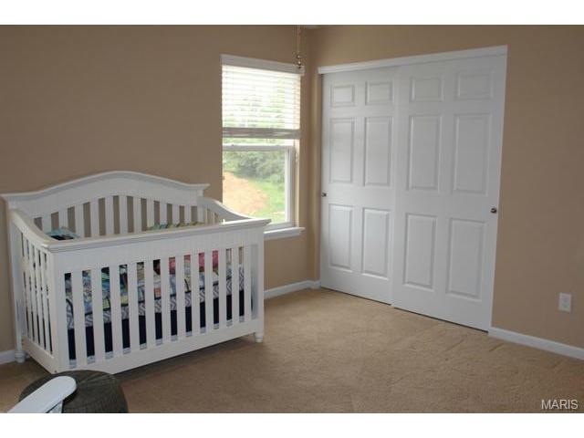 213 Roxbury Dr, O'fallon, MO 63366 photo 39
