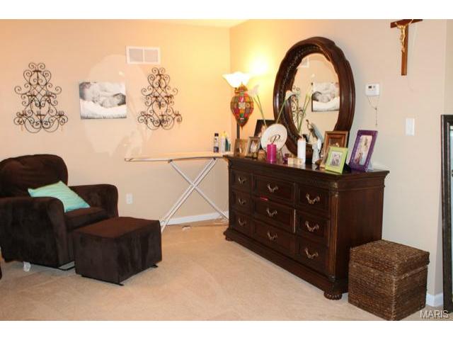 213 Roxbury Dr, O'fallon, MO 63366 photo 33
