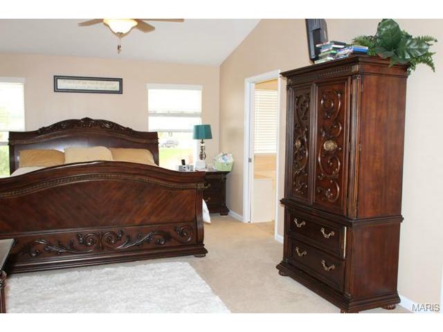 213 Roxbury Dr, O'fallon, MO 63366 photo 31