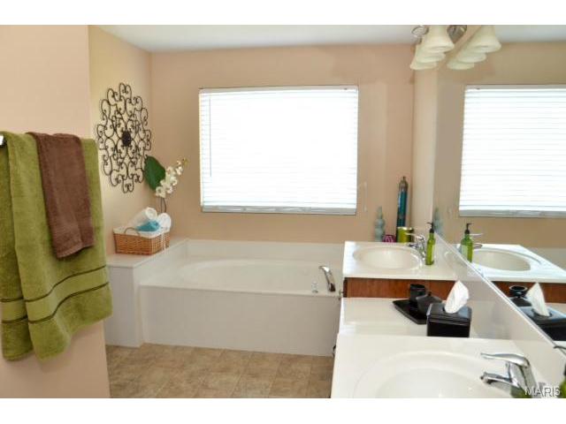 213 Roxbury Dr, O'fallon, MO 63366 photo 34