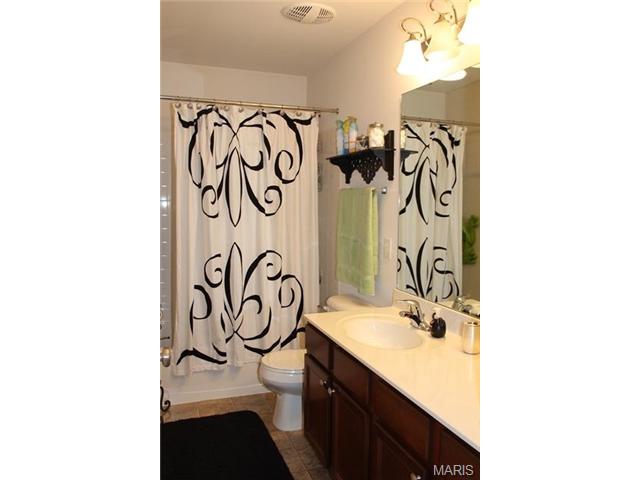 213 Roxbury Dr, O'fallon, MO 63366 photo 40