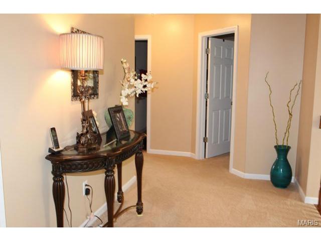 213 Roxbury Dr, O'fallon, MO 63366 photo 26