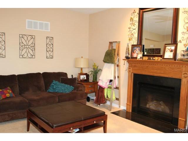213 Roxbury Dr, O'fallon, MO 63366 photo 13