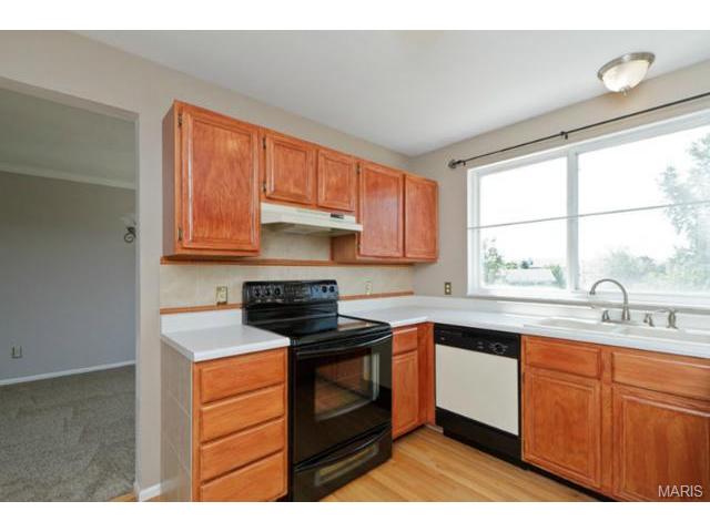 106 Spangle Way Ct, O'fallon, MO 63366 photo 18
