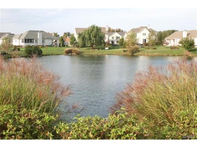 2054 Moondance Ct, O'fallon, MO 63368 photo 29