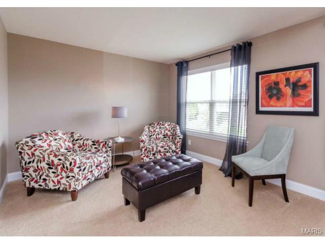 220 Fox Haven Ct, O'fallon, MO 63368 photo 35