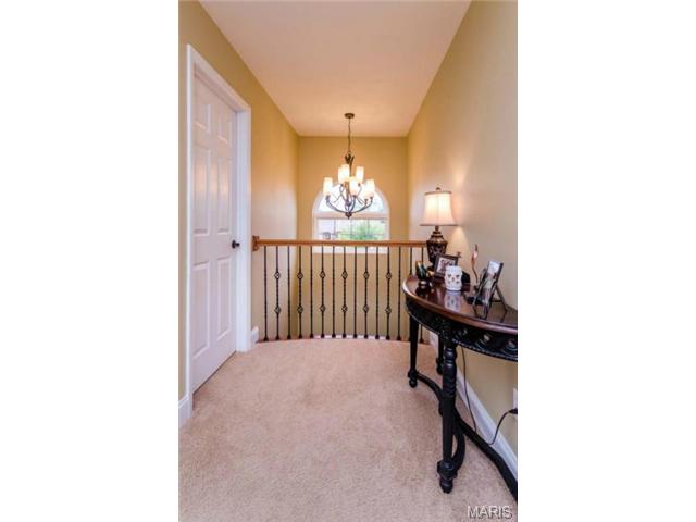 220 Fox Haven Ct, O'fallon, MO 63368 photo 23