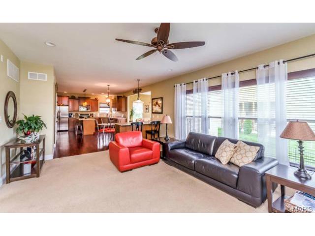 220 Fox Haven Ct, O'fallon, MO 63368 photo 10