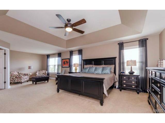 220 Fox Haven Ct, O'fallon, MO 63368 photo 33