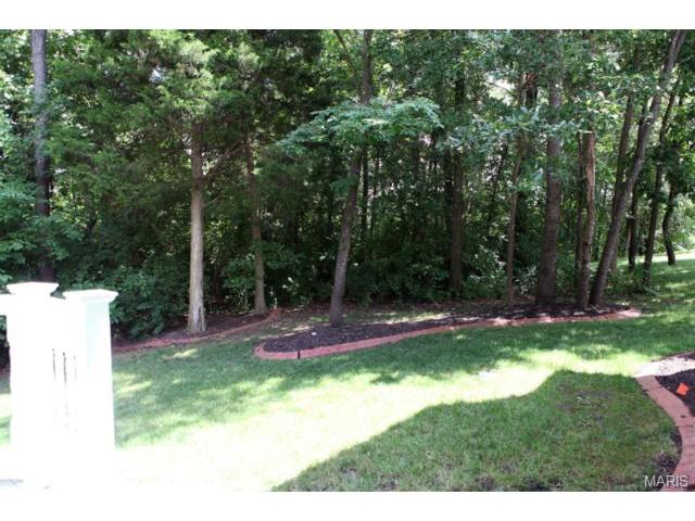 1304 Renaissance, Weldon Spring, MO 63304 photo 43
