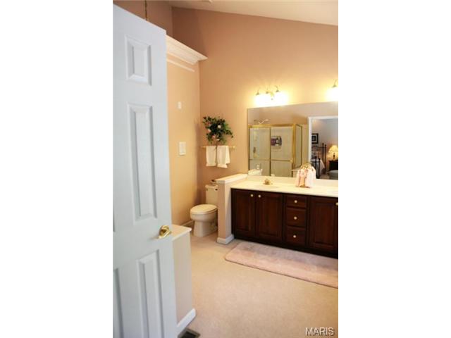 1304 Renaissance, Weldon Spring, MO 63304 photo 24