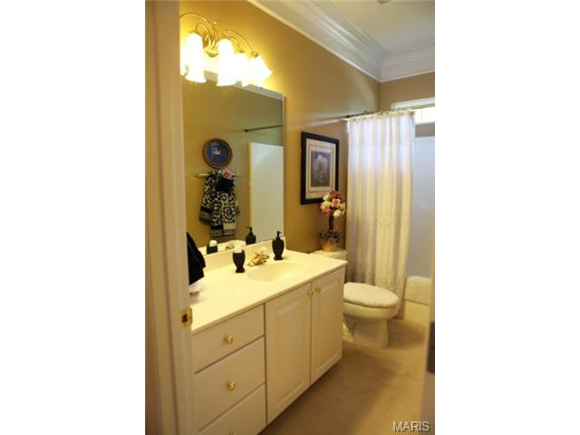 1304 Renaissance, Weldon Spring, MO 63304 photo 27