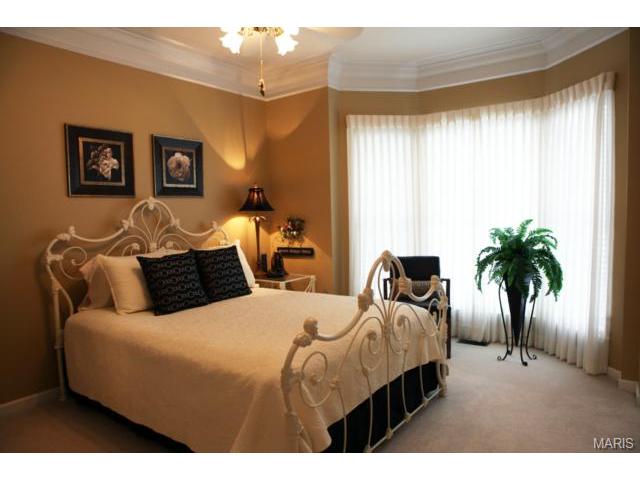 1304 Renaissance, Weldon Spring, MO 63304 photo 7