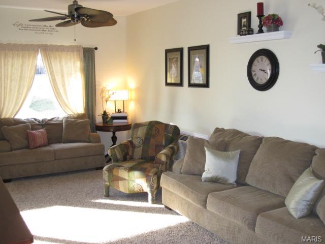 29 David Dr, Saint Charles, MO 63304 photo 7