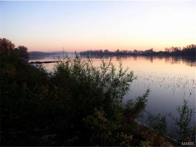 29 David Dr, Saint Charles, MO 63304 photo 36