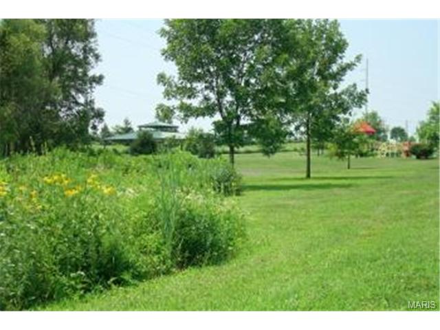 29 David Dr, Saint Charles, MO 63304 photo 34