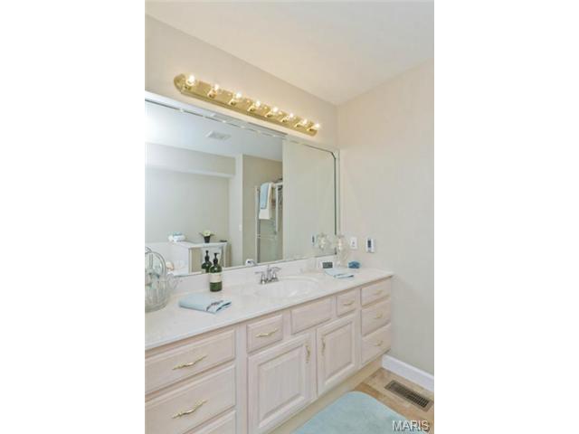446 Winter Park Dr, O'fallon, MO 63366 photo 11