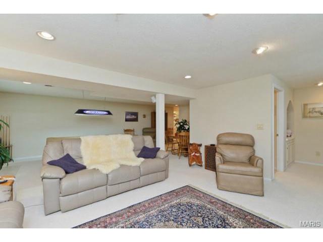 446 Winter Park Dr, O'fallon, MO 63366 photo 41