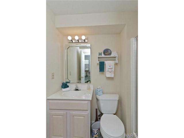 446 Winter Park Dr, O'fallon, MO 63366 photo 21