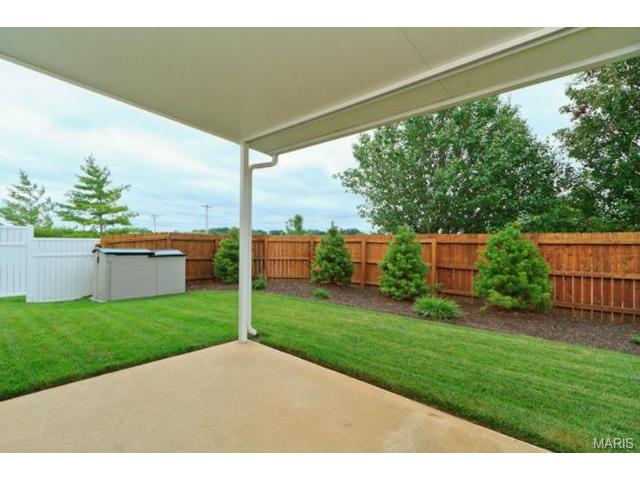 446 Winter Park Dr, O'fallon, MO 63366 photo 46