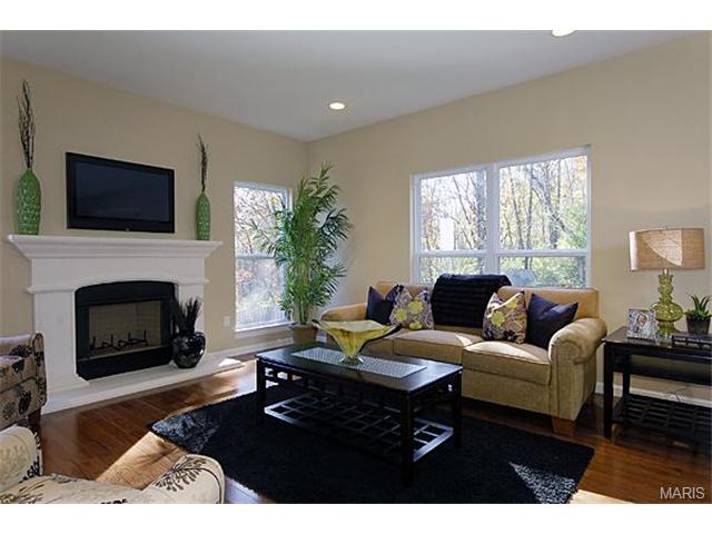 638 Palisades View Dr, Eureka, MO 63025 photo 8