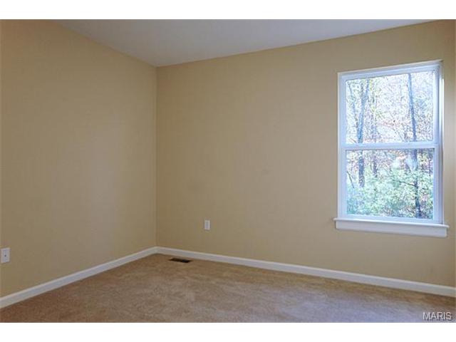 638 Palisades View Dr, Eureka, MO 63025 photo 19