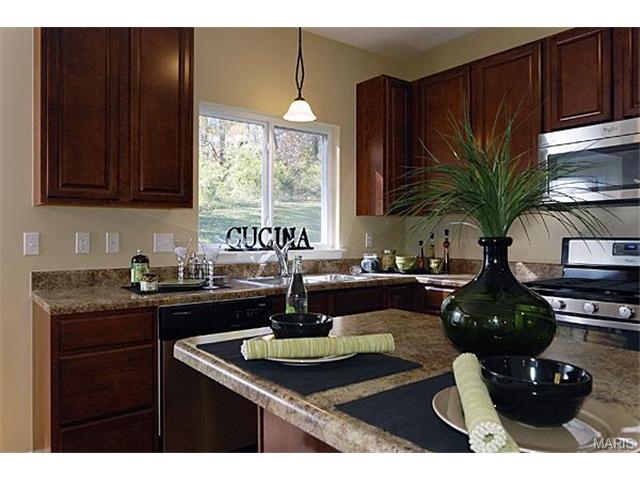 638 Palisades View Dr, Eureka, MO 63025 photo 12
