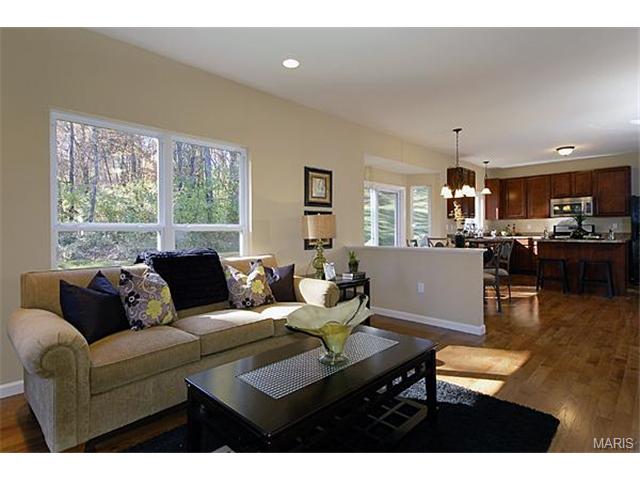 638 Palisades View Dr, Eureka, MO 63025 photo 10