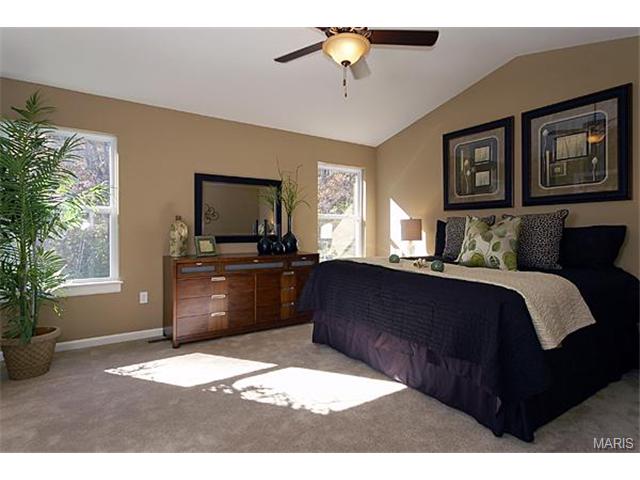 638 Palisades View Dr, Eureka, MO 63025 photo 14