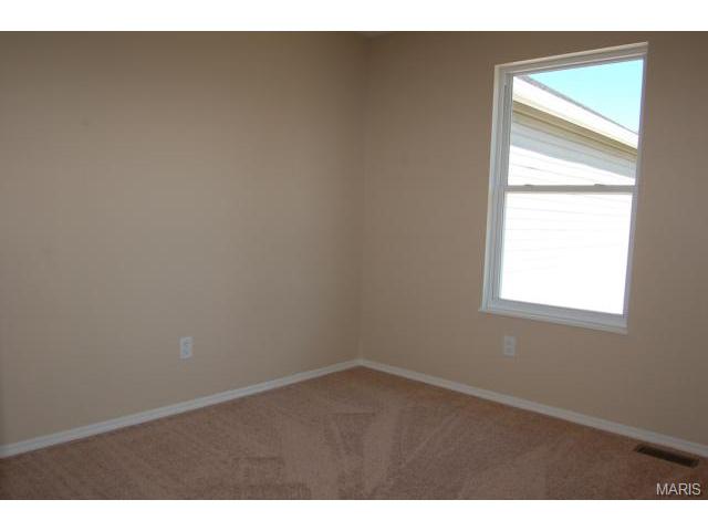 1328 Bryan Valley Dr, O'fallon, MO 63366 photo 10
