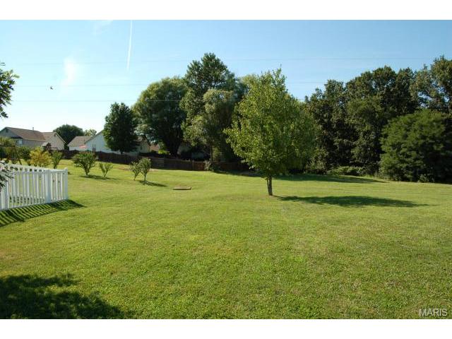 1328 Bryan Valley Dr, O'fallon, MO 63366 photo 5